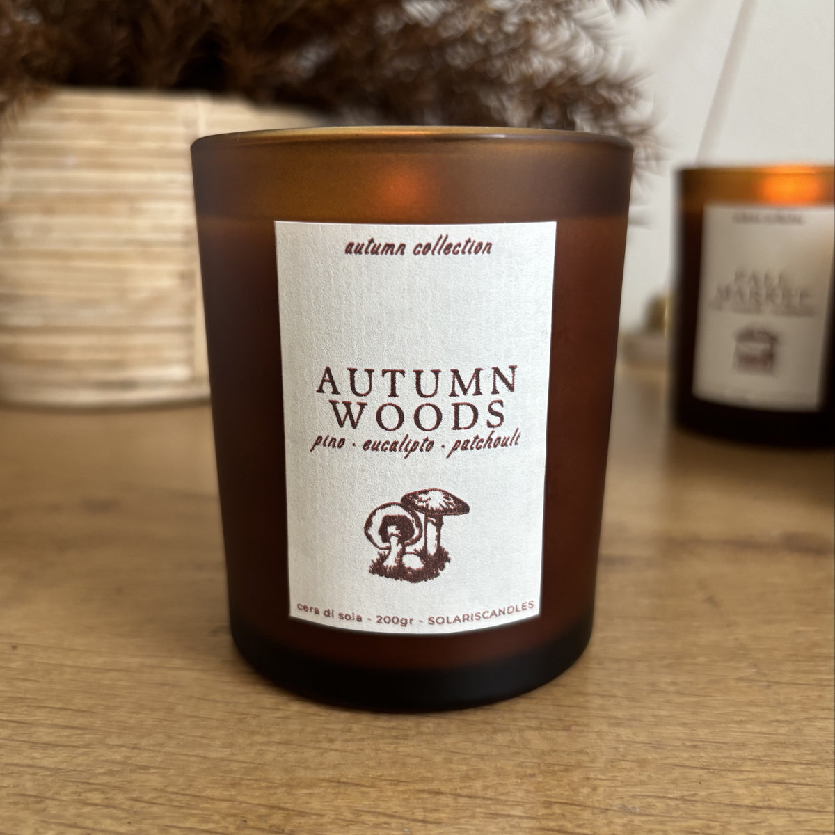 Autumn Woods